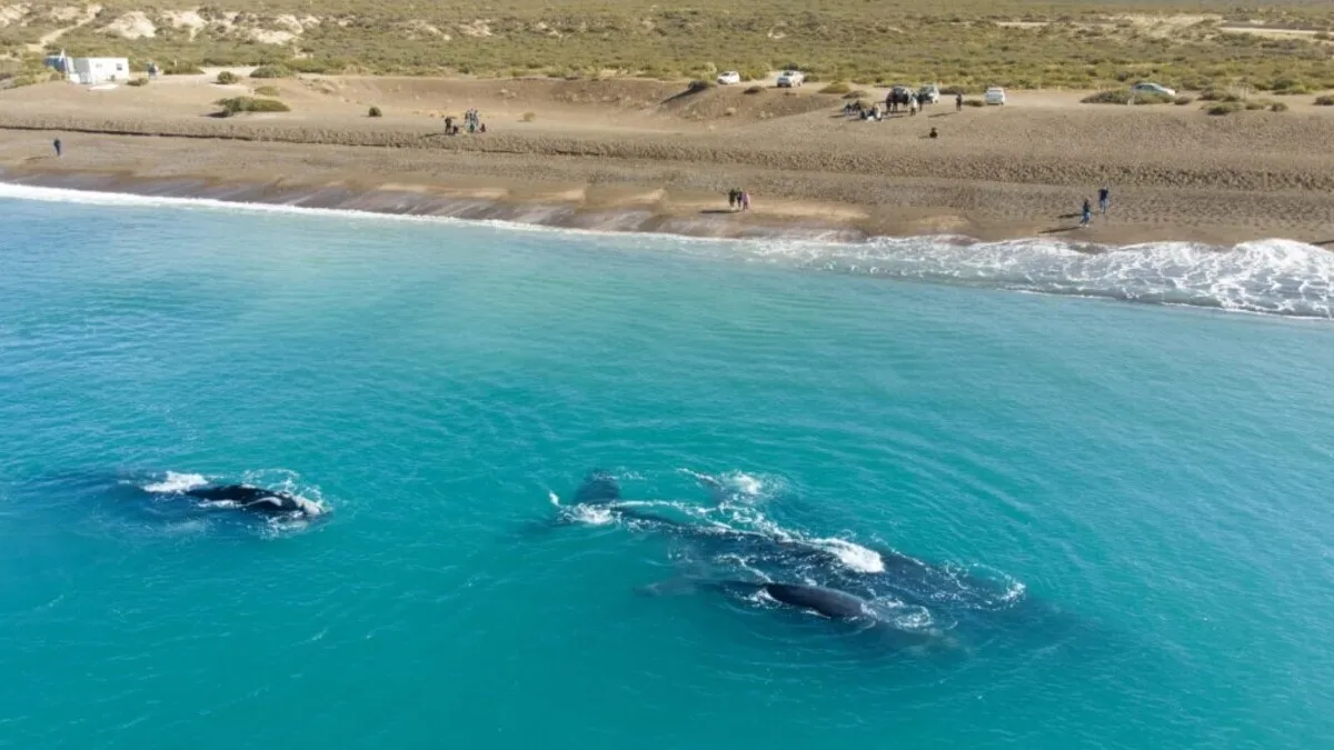 Playa El Doradillo